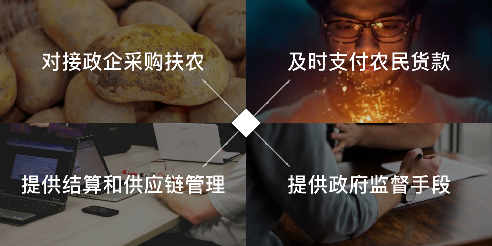 荣邦信息扶农金融